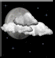 Nubi Sparse